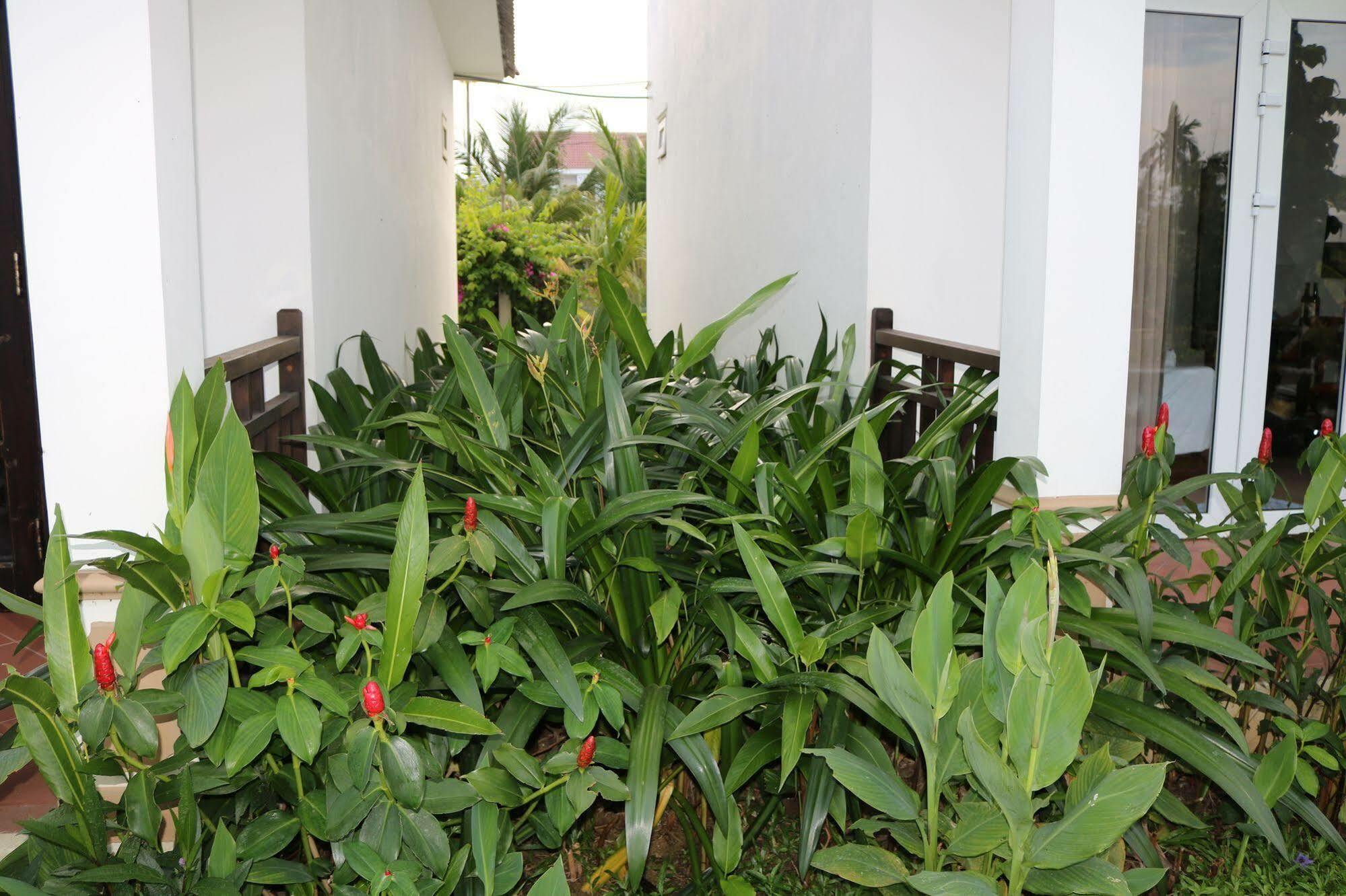 Green Areca Villa Χόι Αν Εξωτερικό φωτογραφία